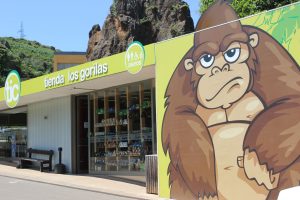 Tienda Gorilas Parque de Cabárceno
